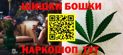 крисы Гай