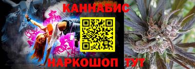 крисы Гай