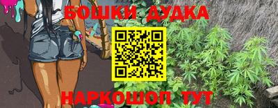 амф Гатчина