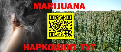 крисы Гай