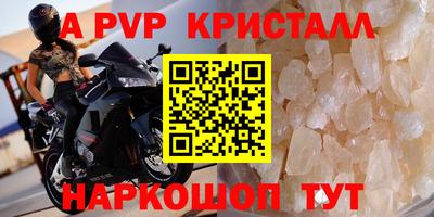 амф Гатчина
