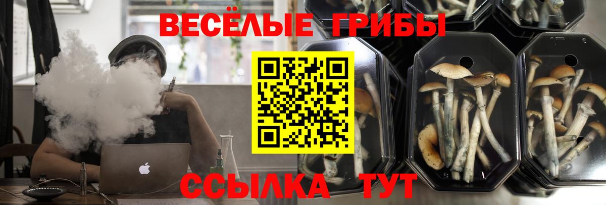Юрга  Псилоцибиновые грибы Psilocybine cubensis  Вход с VPN  Галлюциногенные грибы мицелий 